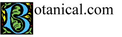 Botanical.com Logo